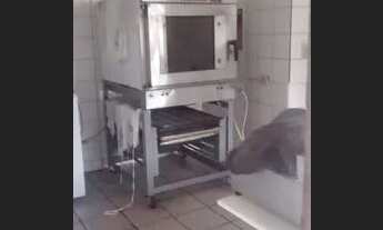 Imagem 6: PONTO COMERCIAL(MERCADO) À VENDA EM MATINHOS