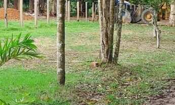 Imagem: VENDO LOTES PARA CHÁCARA KM14