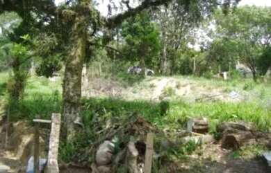 Imagem 4: Terreno para Venda - 4150m², 0 dormitórios, Vila Nova