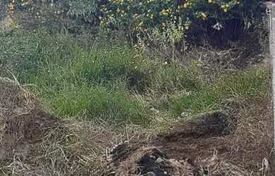 Imagem 4: Imóvel Terreno / lote com venda por R$60.000