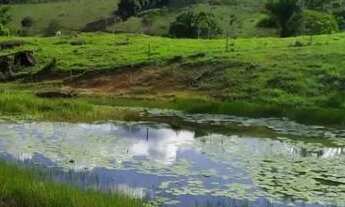 Imagem 2: Fazenda com 68 hectares, há 1km da BR 030 , composta por cacau, pasto, mata e muita água