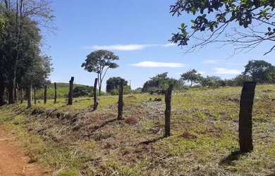 Imagem 3: Vende-se chácara 1 alqueire