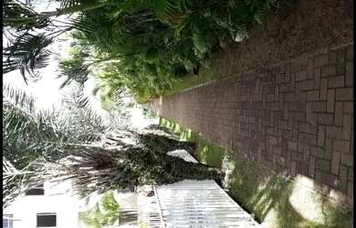 Imagem 2: Alugo Apartamento 2/4 com uma suíte