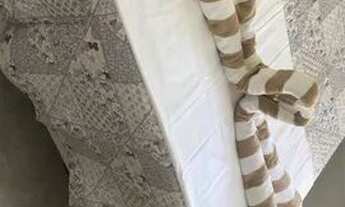 Imagem 6: Casa em condomínio fechado