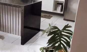 Imagem 2: Apartamento para aluguel