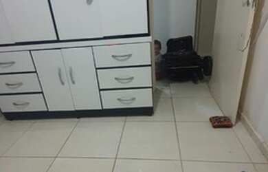 Imagem 3: Repasse em olinda oportunidade