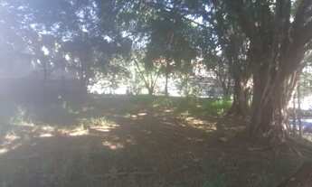 Imagem 3: Área Comercial Rua Olinda Ellis Centro Campo Grande