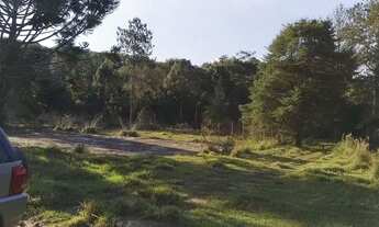 Imagem 7: Área Industrial para venda,no bairro Ponte Alta-Jarinu/SP - W2127_AR1049