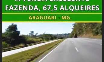 Imagem 7: Fazenda dupla aptidão município Araguari