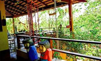 Imagem 3: Fazenda - Chácara 5 quartos, sendo 3 suítes