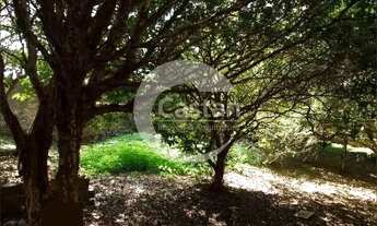 Imagem 6: Sobrado em Mooca