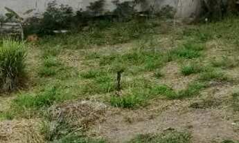 Imagem 2: 100.000( cem mil) Vendo casa