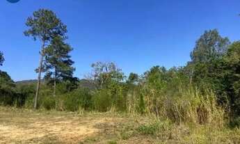 Imagem 2: Terreno de 45 mil metros á venda em São Roque !