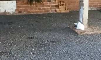 Imagem 2: Casa no Vederti I em Chapecó - SC