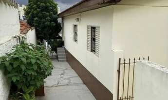 Imagem 2: Terreno,com casaTérrea para venda tem 280 mts com 3 quartos, em Jardim Nordeste - São Pau