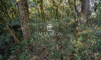 Imagem 4: TERRENO À VENDA EM CANELA NO CONDOMÍNIO PINHEIRO GROSSO!