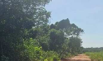 Imagem 4: Fazenda de cana Fazenda / sítio com venda por R$8.160.000