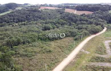 Imagem 3: Chácara em Araucária / Camundá