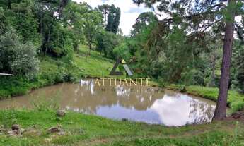 Imagem 4: Refúgio perfeito para sua família nesta encantadora chácara de 9 hectares