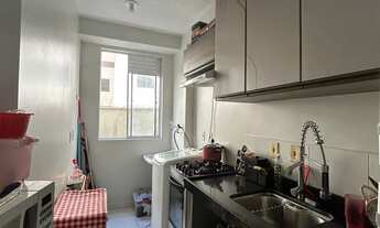 Imagem 4: Ideal samambaia terreo