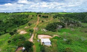 Imagem 2: Fazenda à Venda 56 Alqueires