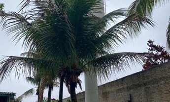 Imagem 7: Chácara à venda, 7000 m² por R$ 780.000,00 - Vila Azul (Zona Rural) - São José do Rio Pret