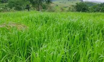 Imagem 2: Venda-se está propriedade de 5 Alqueires no Município de Mimoso do Sul/ES