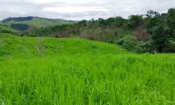 Imagem 4: Venda-se está propriedade de 5 Alqueires no Município de Mimoso do Sul/ES