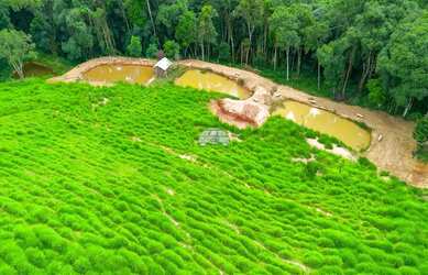 Imagem 7: Vendas Chácara Campo Largo PR