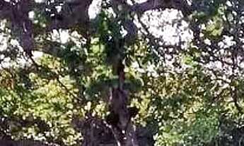 Imagem 6: Opoutunidade Terreno à venda, 2420 m² ( 55,00m x 44,00m), por R$ 900.000 - Edson Queiroz