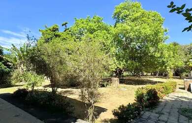 Imagem 3: LA - Imóvel para venda com 10562 metros quadrados com 3 quartos em Verdecap - Teresina - P