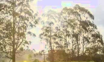 Imagem: Terreno à venda e para alugar em São Bernardo