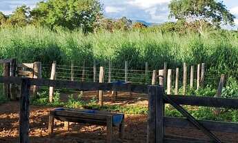 Imagem 5: Chácara a venda Flores de Goiás