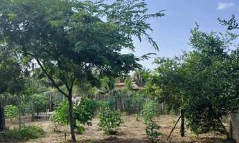 Imagem 4: Vendo Terreno Grande -(área verde