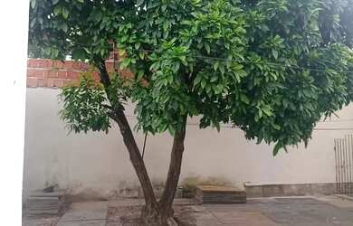 Imagem 4: Casa locação vila dos cabanos