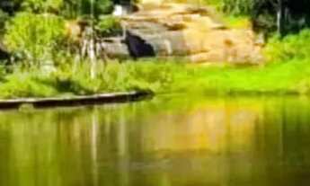 Imagem 6: Um espaço criado para decisões inteligentes