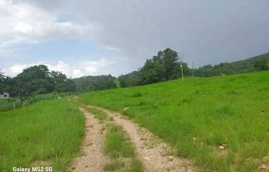 Imagem 4: Chacarra 13 alqueires 25 km da cidade de goias troco por casas em goiânia