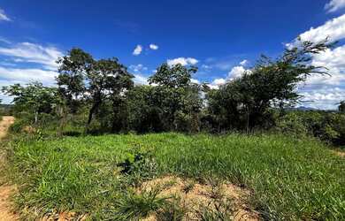 Imagem: Lote Mateus Leme