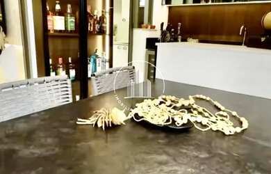 Imagem 4: Apartamento em Campinas - São José