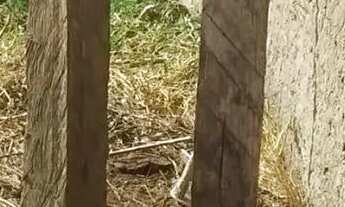 Imagem 3: TERRENO Jardim América São Leopoldo