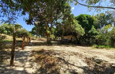 Imagem: Chácara a venda / 5.000,000 M2 / Arvores