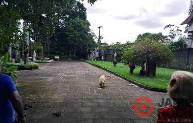 Imagem 5: CHÁCARA PETRÓPOLIS - ROSELANDIA EM ALDEIA