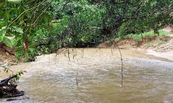 Imagem 3: Fazenda com 64 Alqueires (309,76 hectares) Região Orizona/Luziânia GO Riquíssima em Água