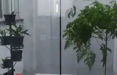 Imagem 5: Casa no Bom Jardim