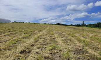 Imagem 2: Sítio de 1 hectar próximo de Holambra