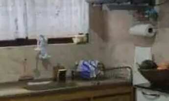 Imagem 6: Imóvel com vista para o mar na praia Massaguaçu