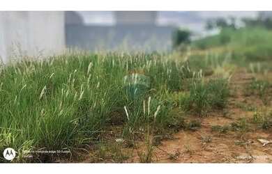 Imagem 7: Terreno à venda com 200m² em Limeira, SP - Jardim Marajoara