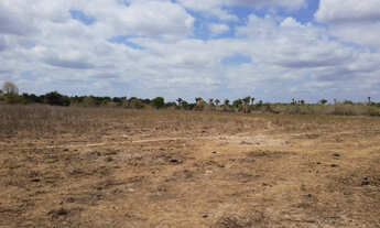 Imagem 7: Fazenda em União-PI