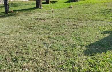 Imagem 5: TE2583) Terreno no Jardim das Palmeiras, Santo Ângelo, RS