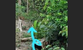 Imagem 3: Terreno no rio Preto da Eva